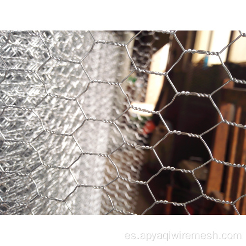Netización de alambre hexagonal de malla de faisán agrícola